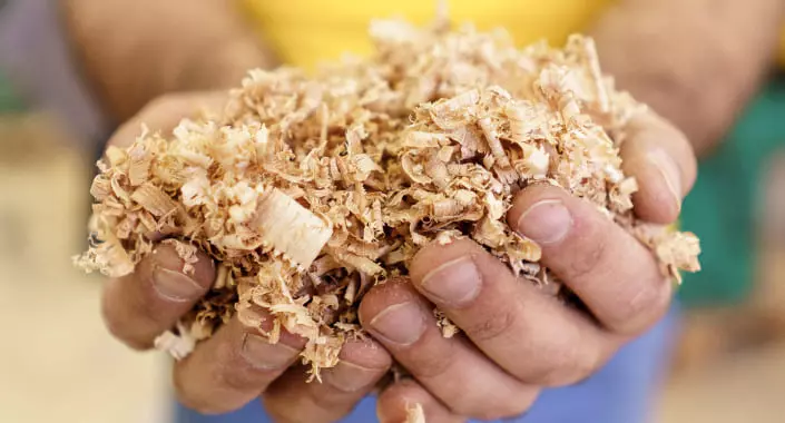 adeladie-sawdust-wholesale